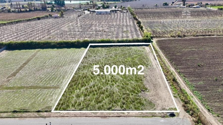 Foto SAN ESTEBAN - VENDE TERRENO DE 5.000m2 - CALLEJÓN SAN BELISARIO