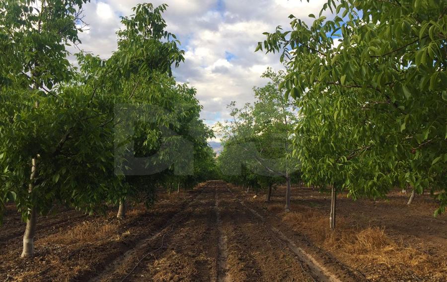 Loteo en Venta en Putaendo, San Felipe de Aconcagua