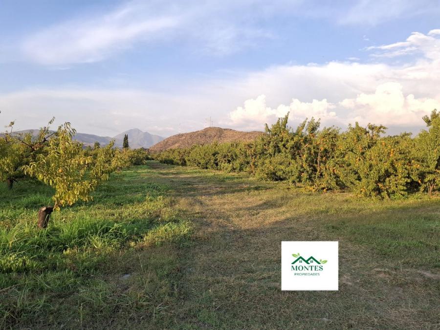 Foto Loteo en Venta en San Esteban, Los Andes - UFs 1.500 - V154902 - BienesOnLine