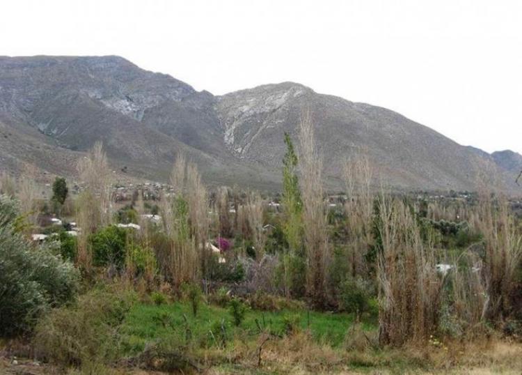 Foto Parcela en Venta en Pueblo Tulahuen Poniente, Monte Patria, Limari - 100 hectareas - UFs 31.000 - PAV44565 - BienesOnLine