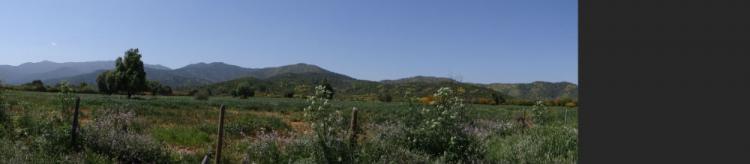 Foto Agricola en Venta en San Pedro, Melipilla - 27 hectareas - $ 200.000.000 - AGV50719 - BienesOnLine