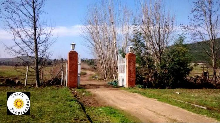 Foto Agricola en Venta en Villa Alegre, Linares - $ 600.000.000 - AGV38462 - BienesOnLine