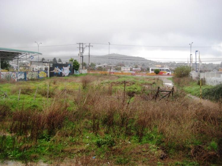 Foto Industrial en Arriendo en Via del Mar, Valparaiso - UFs 75 - INA21390 - BienesOnLine