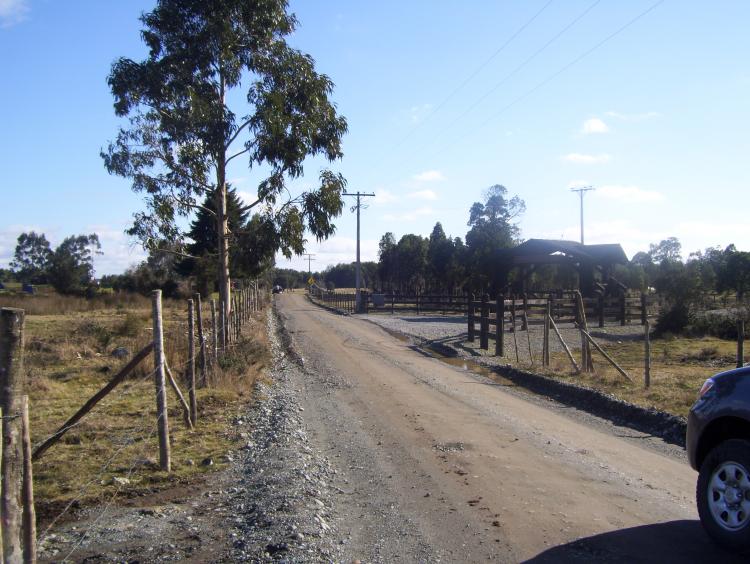 Foto Agricola en Venta en Puerto Varas, Llanquihue - $ 3.000.000 - AGV6609 - BienesOnLine