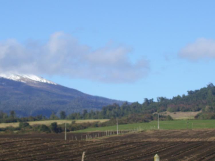 Foto Agricola en Venta en Puerto Varas, Llanquihue - $ 5.000.000 - AGV6632 - BienesOnLine