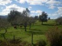 Agricola en Venta en  Osorno
