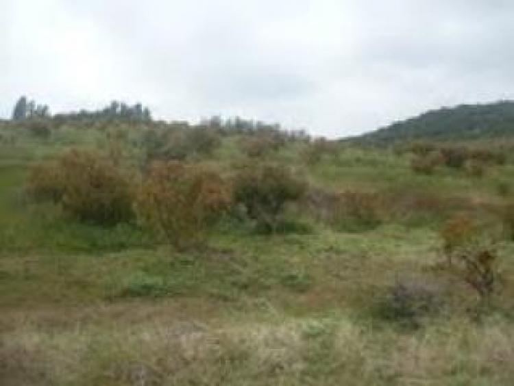 Foto Terreno en Venta en Quillota, Quillota - $ 15.000.000 - TEV16057 - BienesOnLine