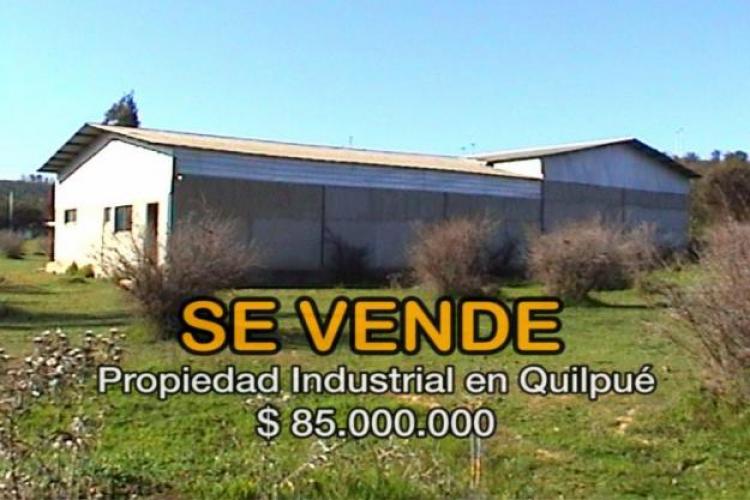 Foto Industrial en Venta en ex Fundo Los Molles, Quilpu, Valparaiso - $ 85.000.000 - INV6699 - BienesOnLine