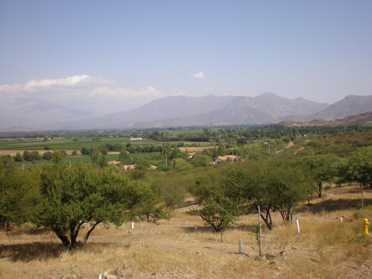 Foto Terreno en Venta en Rinconada, Los Andes - $ 18.500.000 - TEV7352 - BienesOnLine