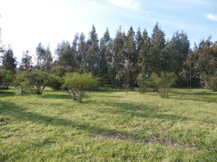 Foto Parcela en Venta en Puertecillo, Pichilemu, Cardenal Caro - 5 hectareas - $ 10.500.000 - PAV46547 - BienesOnLine
