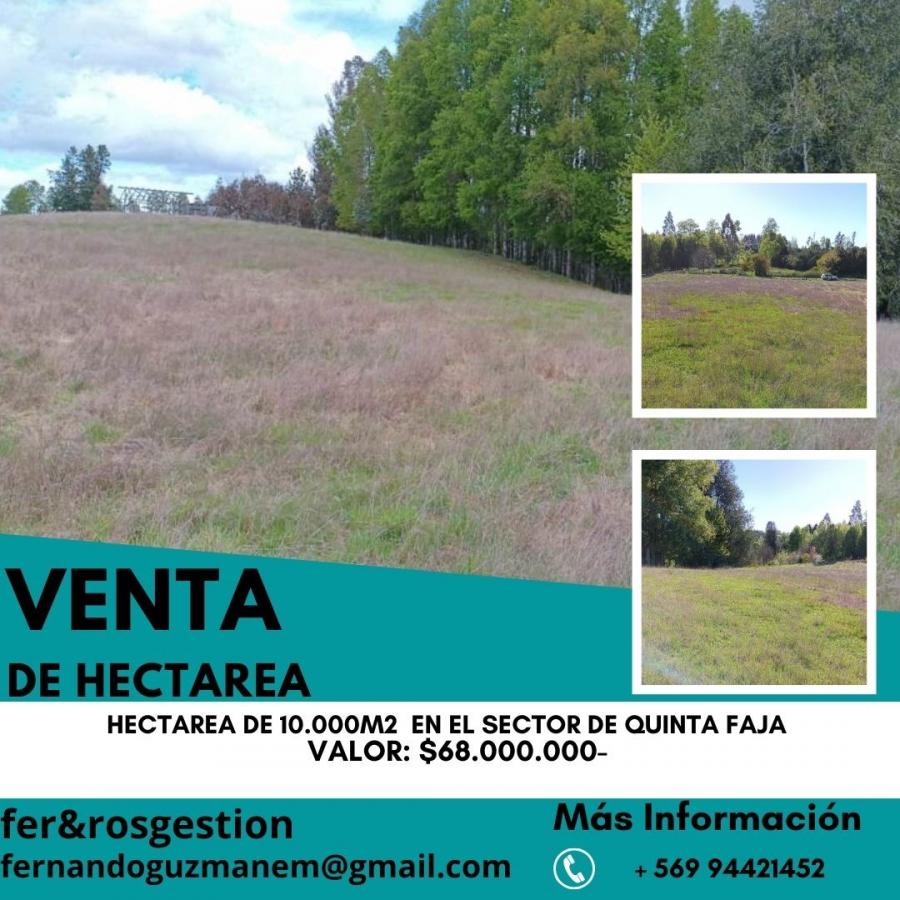 Foto Terreno en Venta en Rural, Villarrica, Cautin - $ 68.000.000 - TEV147212 - BienesOnLine