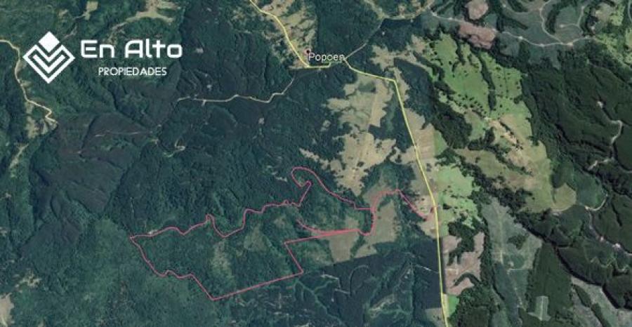 Foto Terreno en Venta en Ro Negro, Osorno - 42 hectareas - $ 163.400.000 - TEV96935 - BienesOnLine