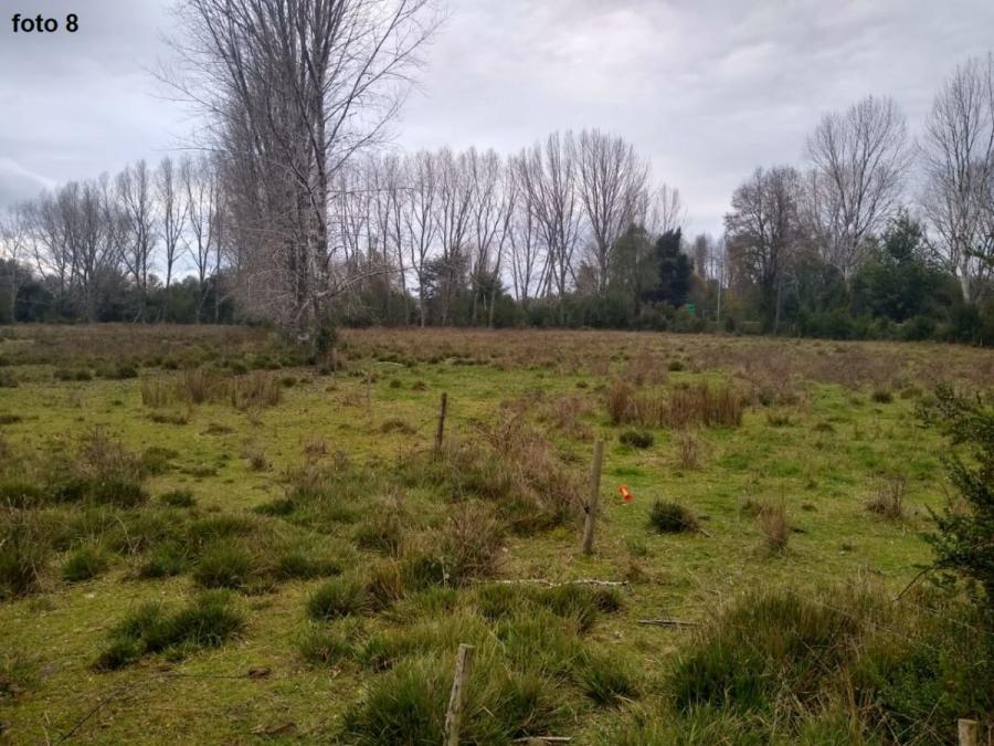 Foto Terreno en Venta en Valdivia-Mariquina, Mariquina, Valdivia - 4 hectareas - $ 320.000.000 - TEV141583 - BienesOnLine