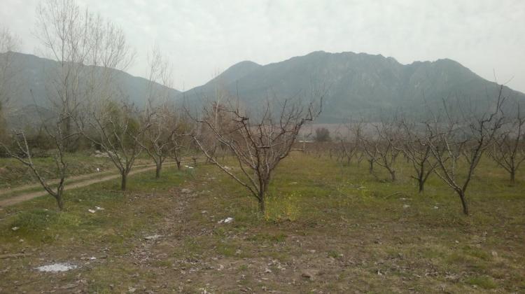 Agricola en Venta en Calle Larga, Los Andes