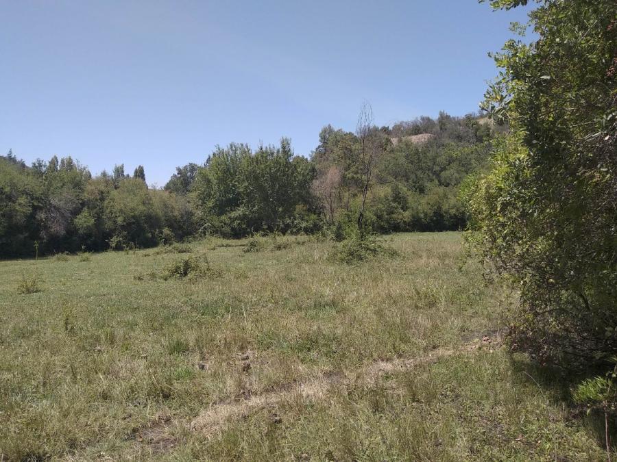 Foto Agricola en Venta en Llepo, Linares - 58 hectareas - $ 290.000.000 - AGV138767 - BienesOnLine
