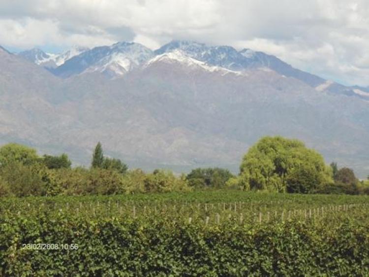 Foto Agricola en Venta en uoa, Santiago - 45 hectareas - U$D 370.000 - AGV10961 - BienesOnLine