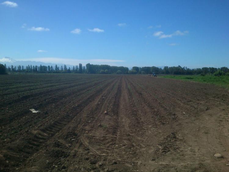 Foto Agricola en Venta en Longav, Linares - $ 360.000.000 - AGV29703 - BienesOnLine