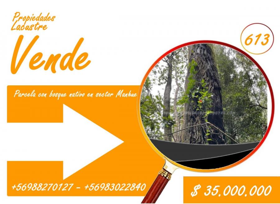 Foto Parcela en Venta en Villarrica, Cautin - $ 35.000.000 - PAV149303 - BienesOnLine