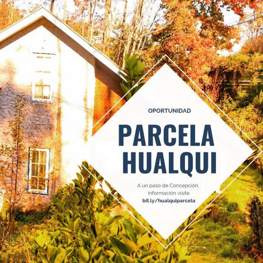 Foto Parcela en Venta en Hualqui, Concepción - $ 180.000.000 - PAV87696 - BienesOnLine