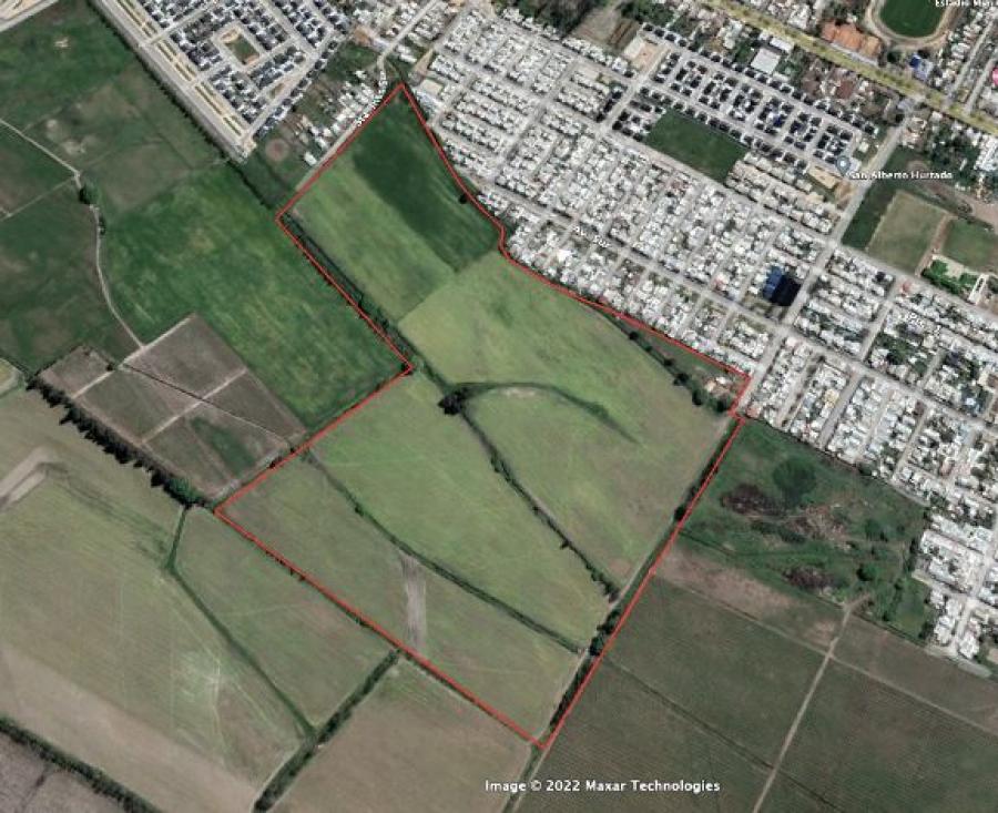Foto Agricola en Arriendo en Molina, Curic - 20 hectareas - $ 450.000 - AGA144580 - BienesOnLine