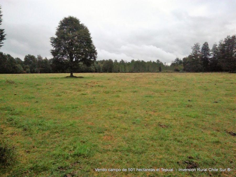 Foto Agricola en Venta en Puerto Montt, Puerto Montt, Llanquihue - 501 hectareas - U$D 9.000.000 - AGV139921 - BienesOnLine