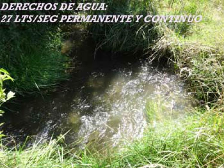 Foto Agricola en Arriendo en San Clemente, Talca - $ 100 - AGA45506 - BienesOnLine