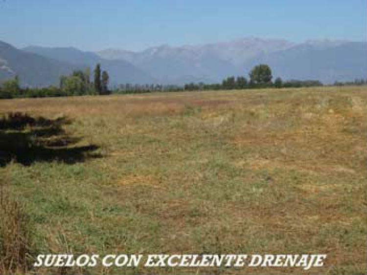 Foto Agricola en Arriendo en San Clemente, Talca - $ 100 - AGA45518 - BienesOnLine