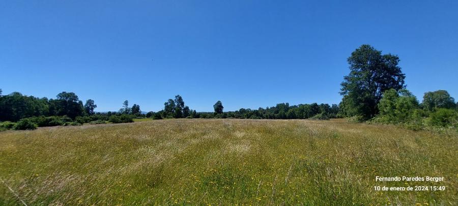 Foto Agricola en Venta en Fresia, Llanquihue - 49 hectareas - $ 550.000.000 - AGV152263 - BienesOnLine
