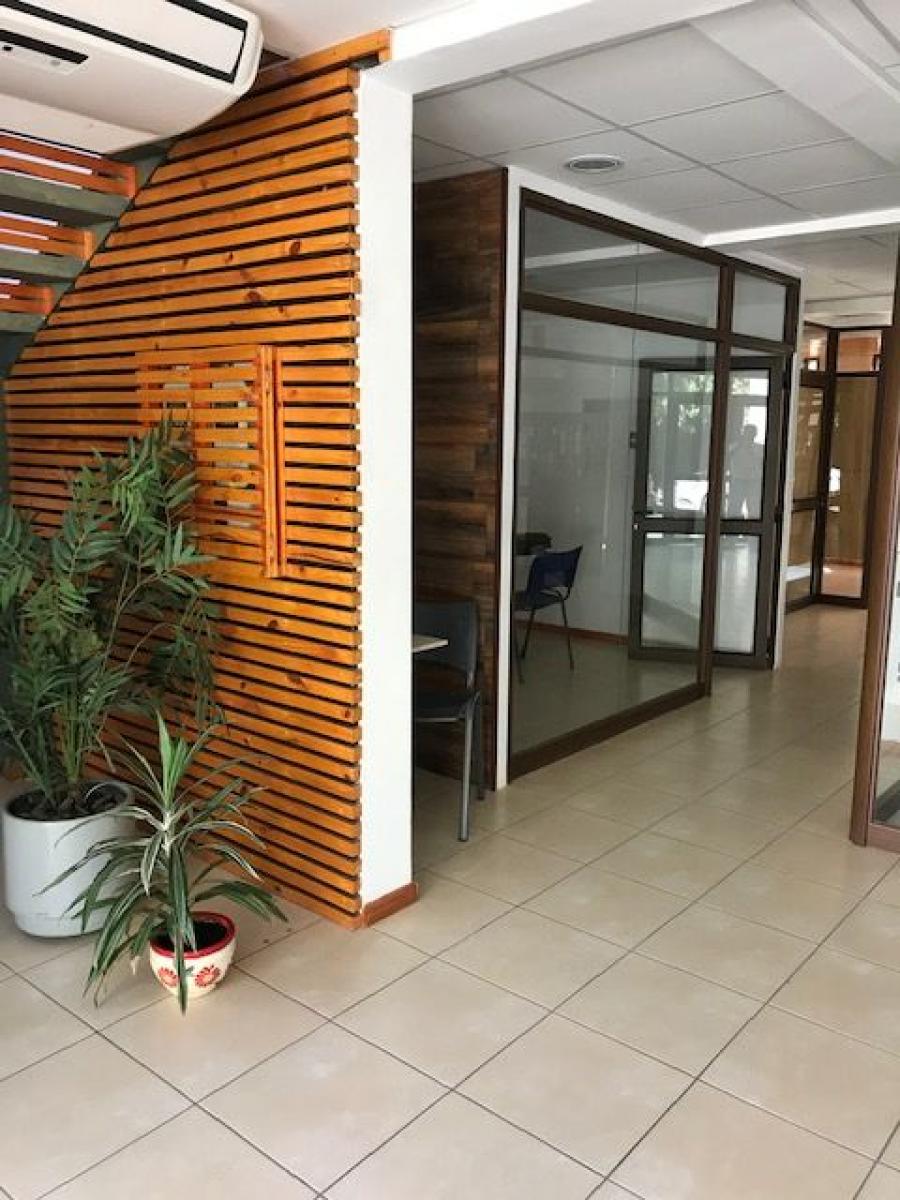 Foto Oficina en Arriendo en San Felipe, San Felipe de Aconcagua - $ 240.000 - OFA119205 - BienesOnLine