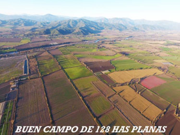 Foto Agricola en Arriendo en Pichidegua, Cachapoal - UFs 30 - AGA71680 - BienesOnLine