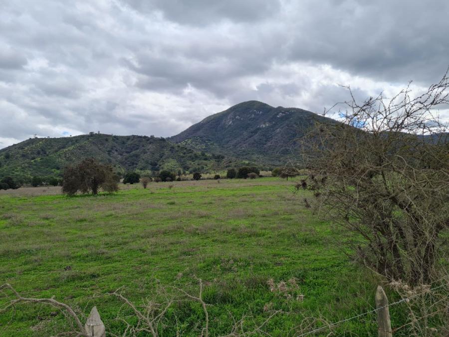 Foto Terreno en Venta en Rapel, San Pedro, Melipilla - 126 hectareas - $ 60.000.000 - TEV135113 - BienesOnLine