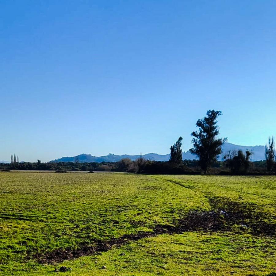 Foto Agricola en Venta en rural, Yerbas Buenas, Linares - 43 hectareas - $ 905.000.000 - AGV130388 - BienesOnLine