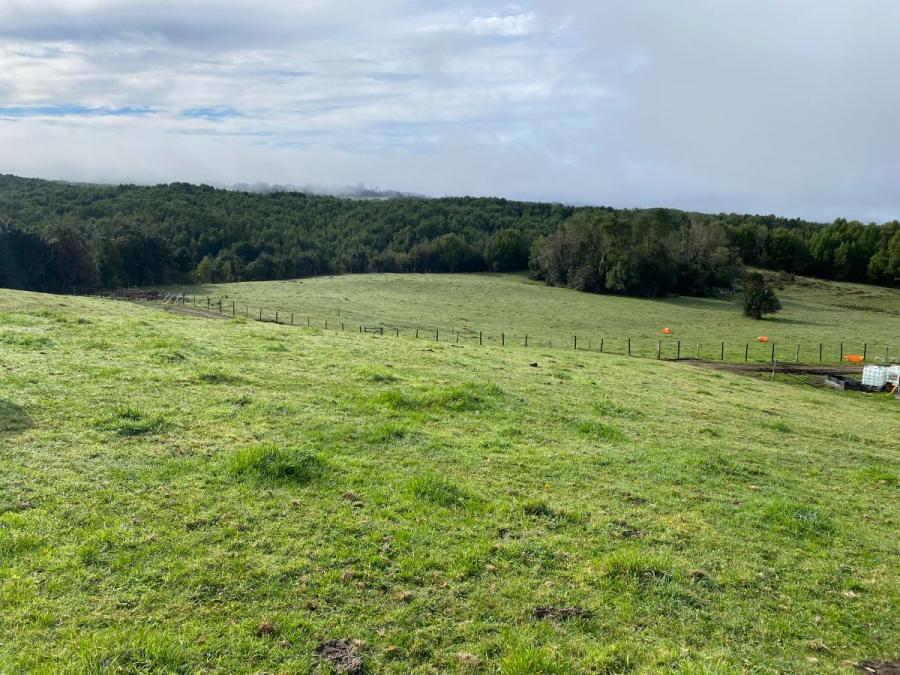 Foto Terreno en Venta en Rural, Quechu Alto - Queilen, Chiloe - 58 hectareas - $ 989.520.000 - TEV129030 - BienesOnLine