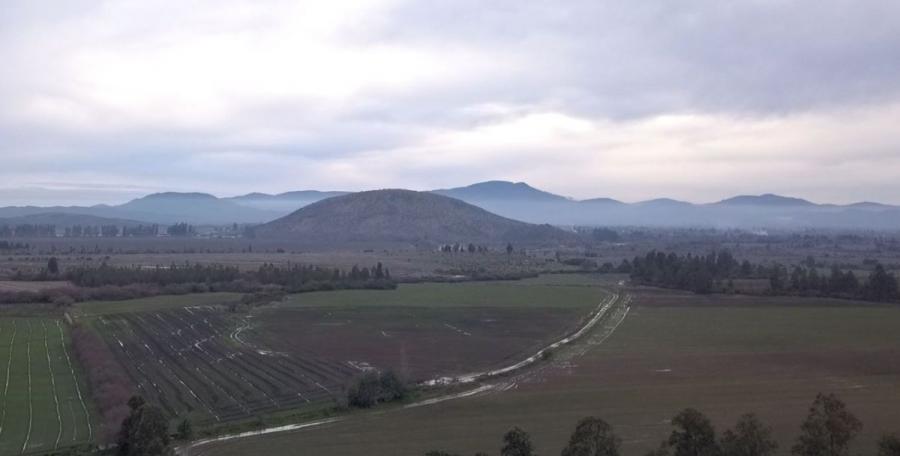 Foto Agricola en Venta en Longav, Linares - 70 hectareas - $ 850.000.000 - AGV110817 - BienesOnLine