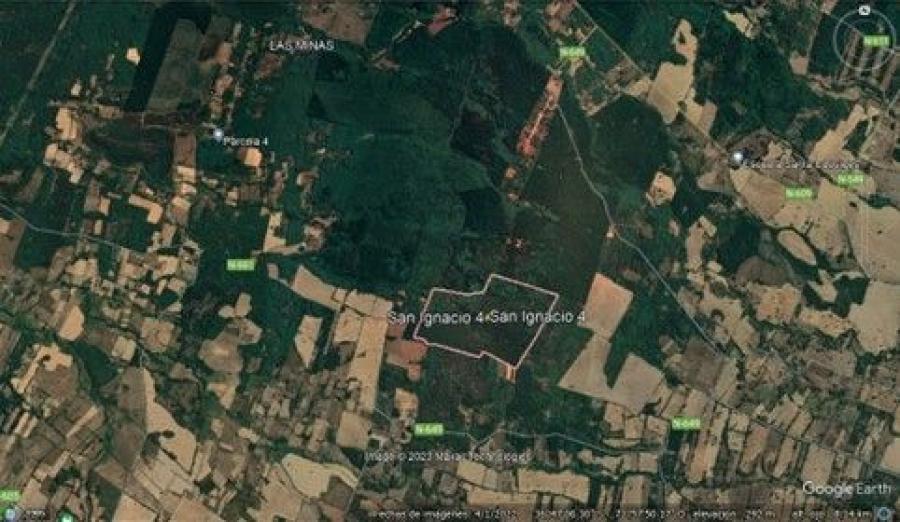 Foto Agricola en Venta en San Ignacio, San Ignacio, Ñuble - 80 hectareas - $ 680.000.000 - AGV140158 - BienesOnLine