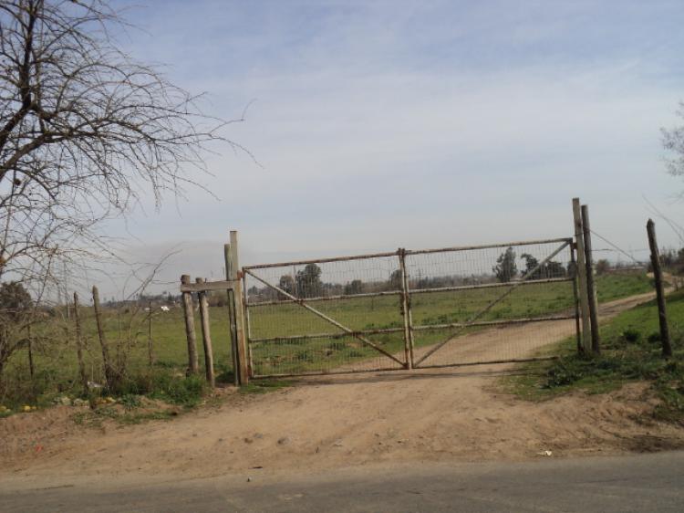 Home in Metric Way