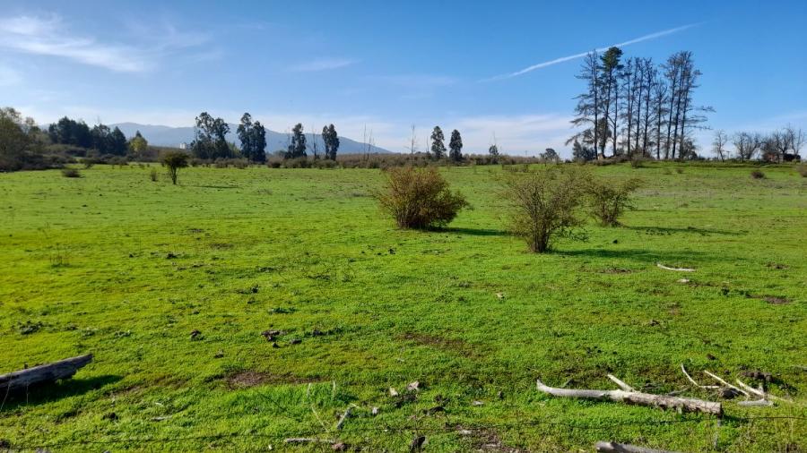 Foto Agricola en Venta en San Rafael, Talca - $ 802.800.000 - AGV150050 - BienesOnLine