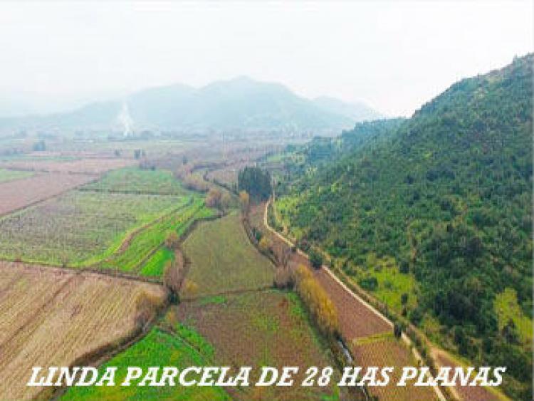 Foto Agricola en Venta en Santa Cruz, Colchagua - $ 100 - AGV50070 - BienesOnLine