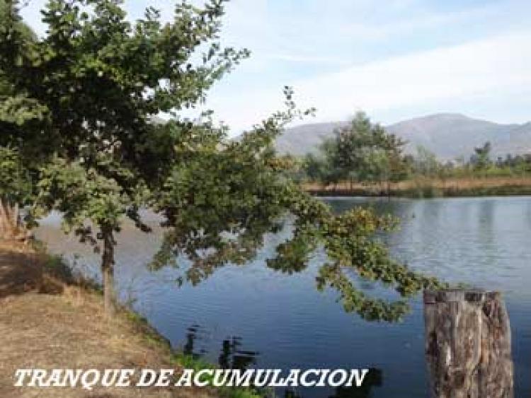 Foto Agricola en Venta en Rengo, Cachapoal - $ 30.000.000 - AGV71686 - BienesOnLine