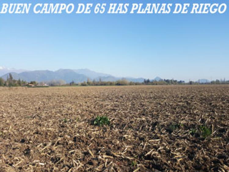 Foto Agricola en Venta en Rengo, Cachapoal - UFs 1.335 - AGV71683 - BienesOnLine