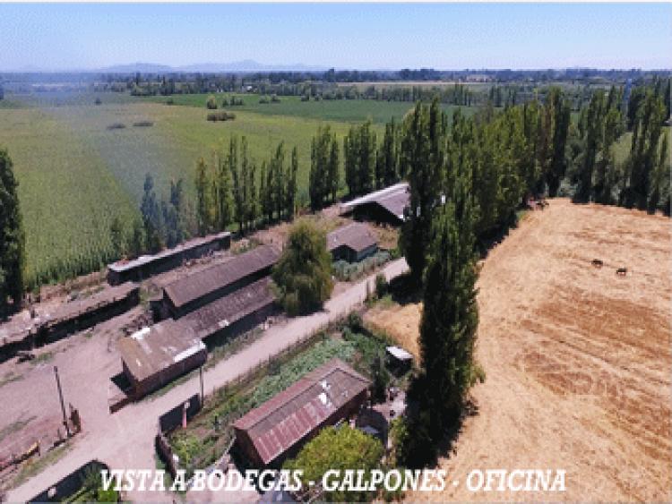 Foto Agricola en Venta en Longav, Linares - $ 16.000.000 - AGV71721 - BienesOnLine