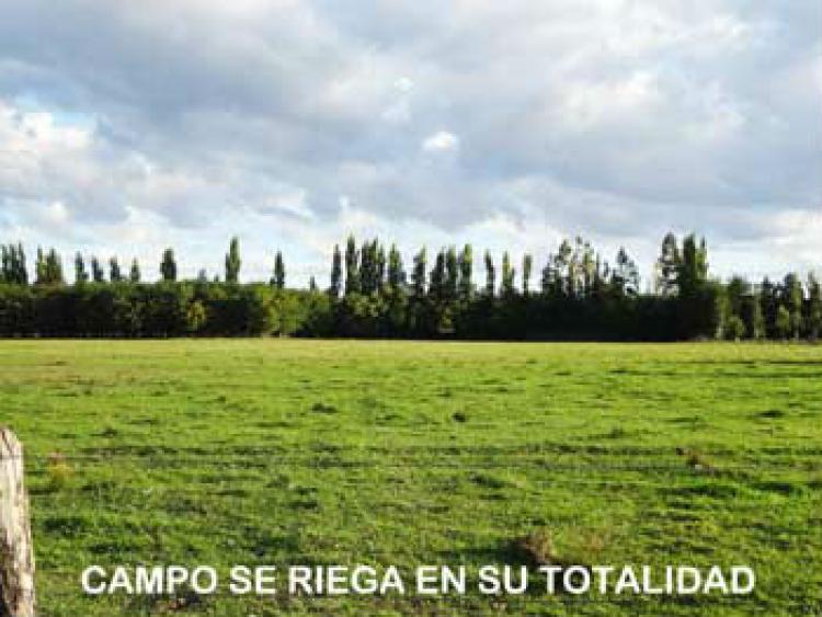 Foto Agricola en Venta en Bulnes, uble - $ 100 - AGV43250 - BienesOnLine