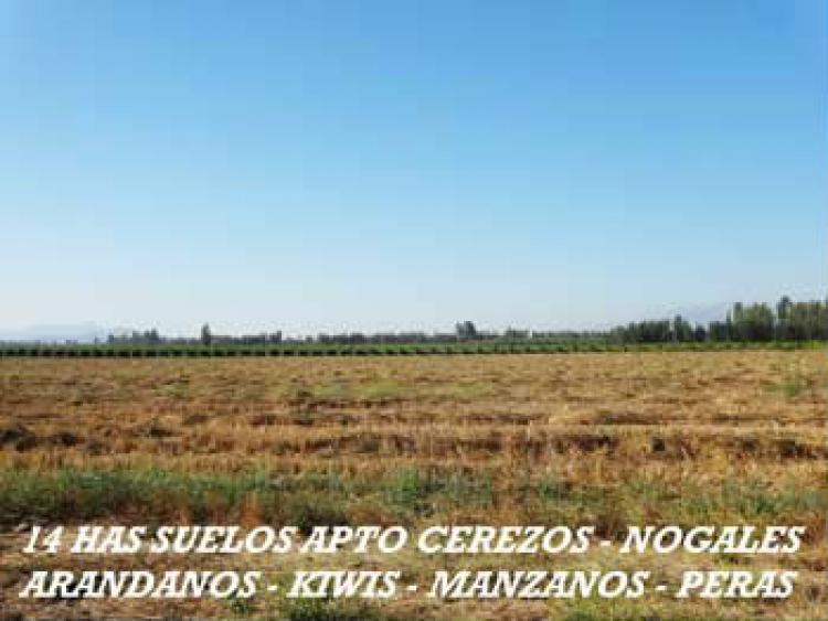 Foto Agricola en Venta en Chimbarongo, Colchagua - $ 100 - AGV45509 - BienesOnLine