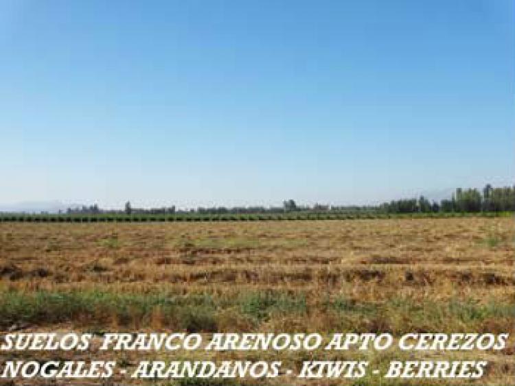 Foto Agricola en Venta en Chimbarongo, Colchagua - $ 100 - AGV45675 - BienesOnLine