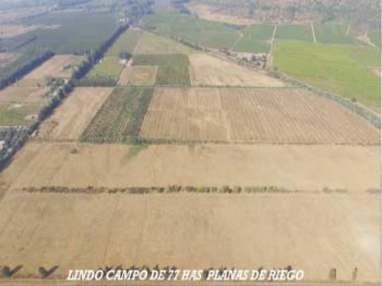 Foto Agricola en Venta en Codegua, Cachapoal - $ 32.000.000 - AGV71671 - BienesOnLine