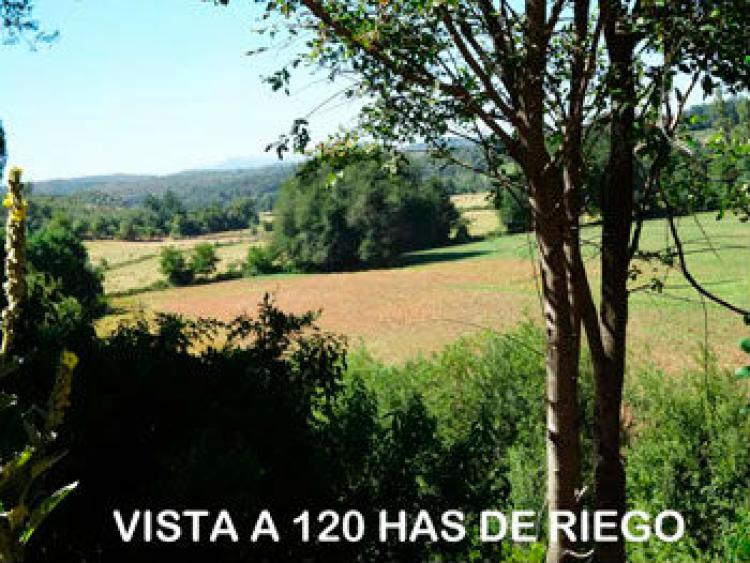 Foto Agricola en Venta en Nacimiento, Biobio - 180 hectareas - $ 100 - AGV42079 - BienesOnLine