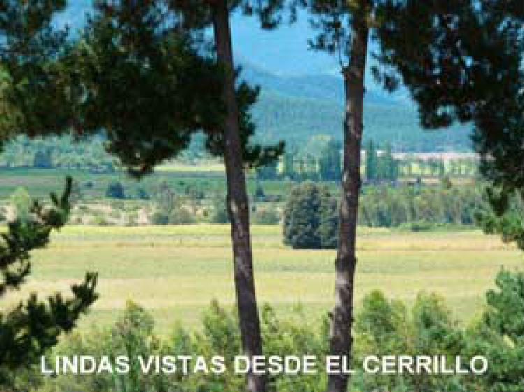 Foto Agricola en Venta en Maule, Talca - $ 100 - AGV42317 - BienesOnLine