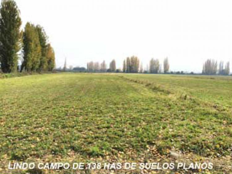 Foto Agricola en Venta en Linares, Linares - $ 100 - AGV43253 - BienesOnLine