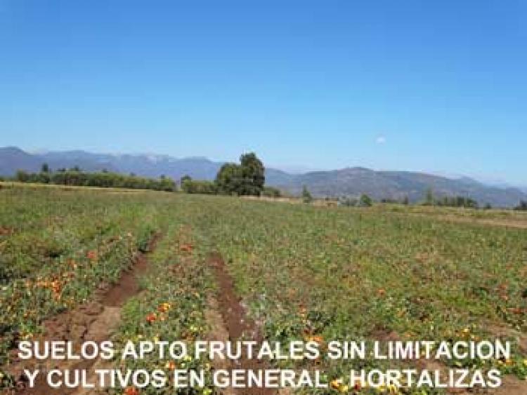 Foto Agricola en Venta en Linares, Linares - 96 hectareas - $ 100 - AGV42077 - BienesOnLine