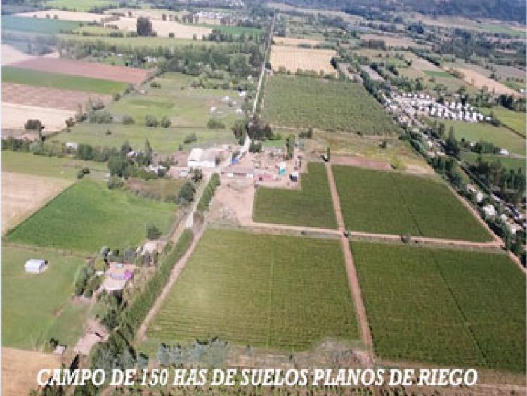 Foto Agricola en Venta en Colbn, Linares - $ 14.000.000 - AGV63347 - BienesOnLine